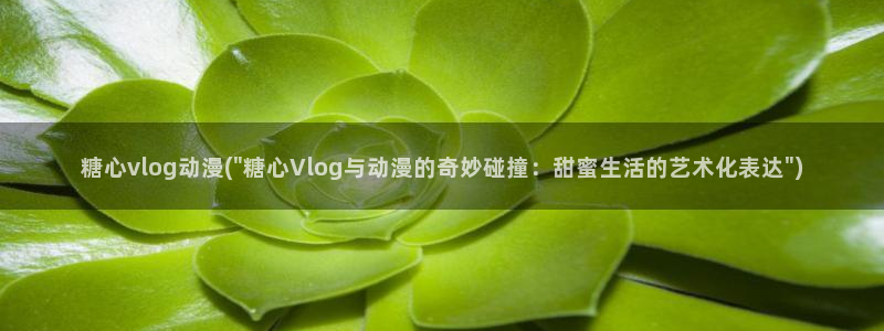 糖心VLOG网头像：糖心vlog动漫(\