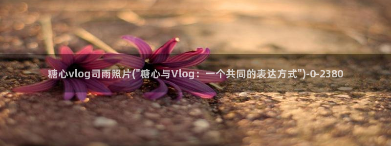 糖心vlog瑶妹：糖心vlog司雨照片(
