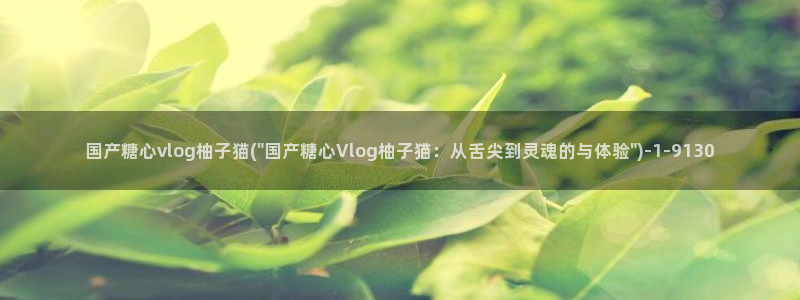 董小姐糖心vlog