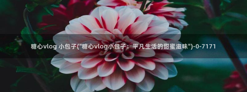糖心vlog福利：糖心vlog 小包子(