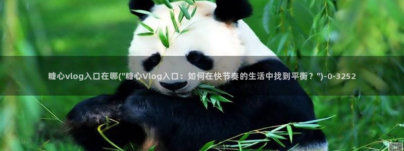 糖心vlog up主：糖心vlog入口在