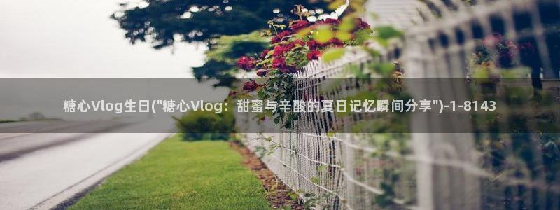 糖心vlog玩偶