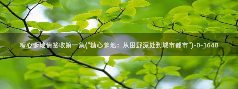 糖心视频vlog冉冉学姐