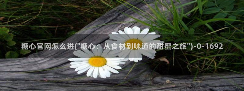 糖心视频vlog免费版