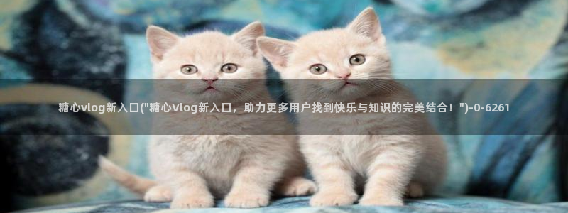 糖心vlog进入在线