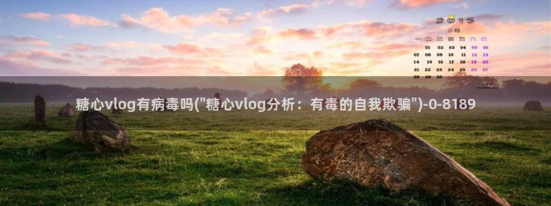 心糖vlog免费观看