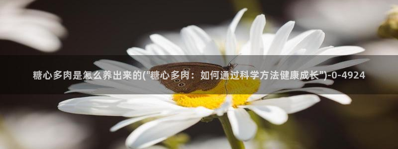 糖心vlog最新免费版内容