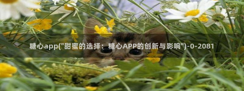 心糖vlog在线免费观看